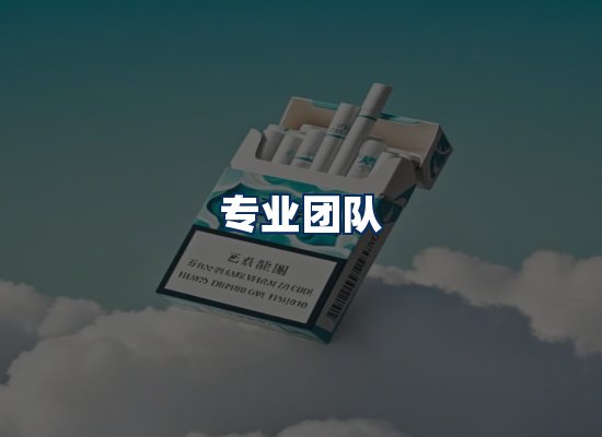 专业团队